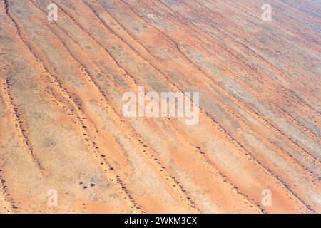 Luftlandschaft mit roten Dünenstreifen in der Kalahari-Wüste, aufgenommen von einem Segelflugzeug im hellen Licht des späten Frühlings östlich von Kalkrand, Namibia, Afrika Stockfoto