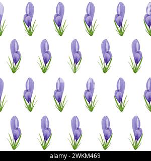 Aquarell lila Krokusse nahtloses Muster, Frühlingsblumen Digitalpapier auf weißem Hintergrund. Handgemalte Blumenabbildung. Für Textildesign Stockfoto