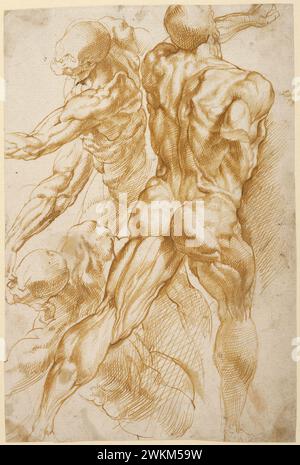 Anatomische Studien; Peter Paul Rubens (Flämisch, 1577 - 1640); ca. 1600 - 1605; Stift und braune Tinte; 27,9 x 18,7 cm (11 x 7 3/8 Zoll); 88.GA.86 Stockfoto