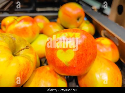 Apfel in einer ganzen Packung Äpfel mit I Love You Textzeichen darauf. Spezielle Äpfel, die zum Valentinstag angebaut werden Stockfoto