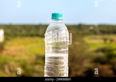 Eine einzelne Plastikflasche liegt auf einer leuchtend grünen Wiese Stockfoto