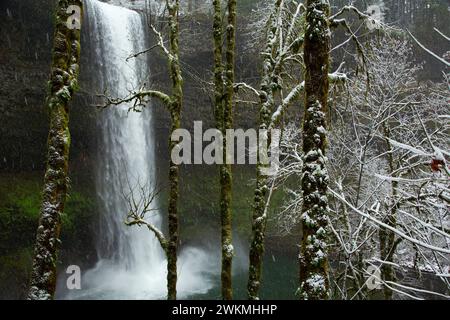 South Falls im Winter, Silver Falls State Park, Oregon Stockfoto
