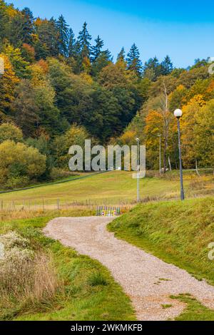 Polanica-Zdroj, Polen - 21. Oktober 2023: Kleiner steiniger Weg oben neben Goralka Rodelbahn mit schöner und farbenfroher Umgebung von Bäumen und Stockfoto