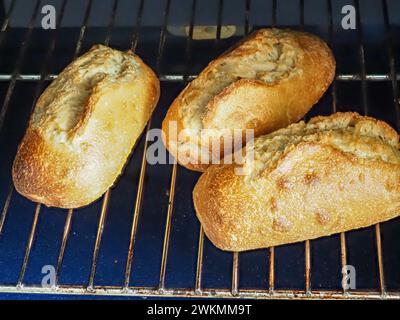 Leckere knusprige Brötchen Stockfoto