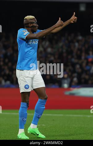 Neapel, Italien. Februar 2024. Victor Osimhen (SSC Napoli) während des Fußballspiels der UEFA CHAMPIONS LEAGUE zwischen NAPOLI und BARCELLONA im Diego Armando Maradona Stadium in Neapel, Italien - Mittwoch, den 21. Februar 2024. ( Alessandro Garofalo/LaPresse ) Credit: LaPresse/Alamy Live News Stockfoto