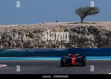 Sakhir, Bahrain, 21. Februar, Charles Leclerc, aus Monaco, tritt für Ferrari an. Wintertests, die Wintertests der Formel-1-Meisterschaft 2024. Quelle: Michael Potts/Alamy Live News Stockfoto