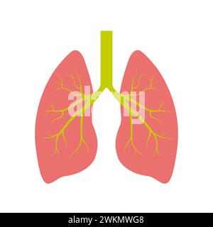 Lunge menschliches Symbol, Atmungssystem gesunde Lunge Anatomie flache medizinische Organ Symbol Stock Vektor