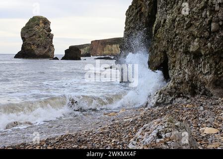 Ein heller Wintertag an der Marsden Bay, einer wunderschönen Bucht mit atemberaubendem Blick und spektakulären Felsformationen auf South Shields, South Tyneside, NE England. Stockfoto