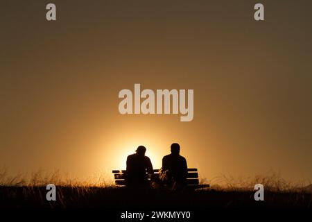 Zwei Männer, die auf einer Bank sitzen, beobachten einen Sonnenuntergang vom Oyamada Ryokuchi Park, Machida, Tokio, Japan. Stockfoto