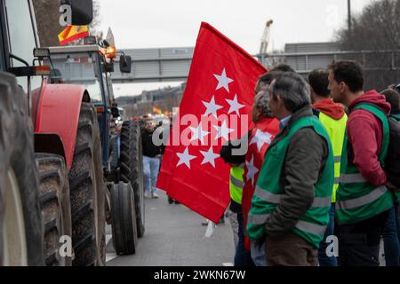 Madrid, Spanien. Februar 2024. Hunderte von Traktoren aus ganz Spanien sind nach Madrid gereist, um eine Demonstration von Bauern und Viehzüchtern vor dem Ministerium für Landwirtschaft, Fischerei und Ernährung im Zentrum von Madrid abzuhalten. Quelle: SOPA Images Limited/Alamy Live News Stockfoto