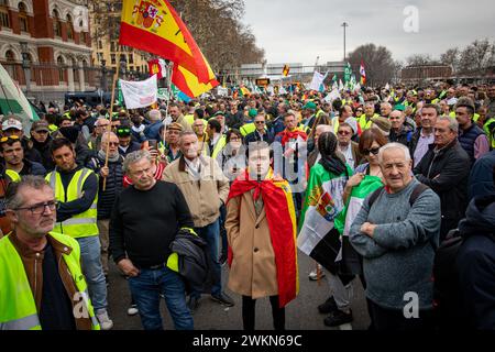 Madrid, Spanien. Februar 2024. Hunderte von Traktoren aus ganz Spanien sind nach Madrid gereist, um eine Demonstration von Bauern und Viehzüchtern vor dem Ministerium für Landwirtschaft, Fischerei und Ernährung im Zentrum von Madrid abzuhalten. Quelle: SOPA Images Limited/Alamy Live News Stockfoto