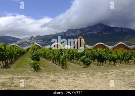 Ysios Weingut entworfen von Santiago Calatrava, La Rioja, Spanien Stockfoto