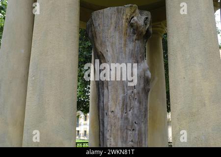 Baum von Guernica im Baskenland Stockfoto