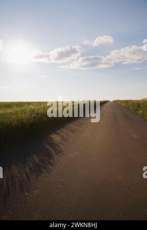 Asphaltierte Landstraße mit schwarzem Asphalt durch landwirtschaftliches Feld in die Ferne, Saint-Jean, Ile d'Orleans, Quebec, Kanada. Stockfoto