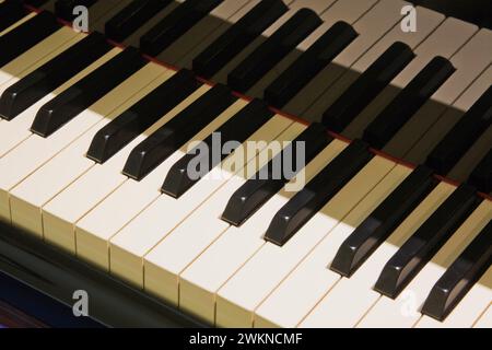 Nahaufnahme der schwarzen und weißen Tasten auf dem Flügel. Stockfoto