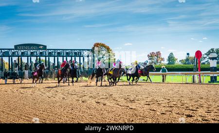 Keeneland, Lexington, Kentucky, 18. Oktober 2023: Keenealand Fall Race Meet, Start von Rennen 4 Stockfoto