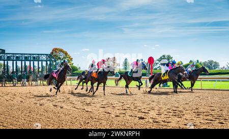 Keeneland, Lexington, Kentucky, 18. Oktober 2023: Keenealand Fall Race Meet, Start von Rennen 4 Stockfoto