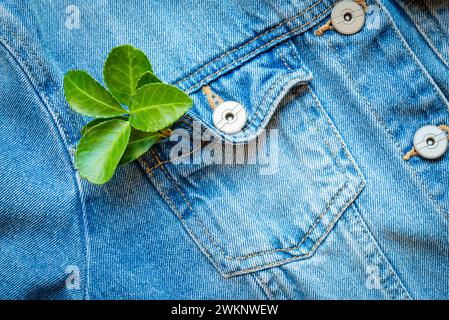 Nahaufnahme eines grünen Blattes in einer blauen Jeansjacke. Ein Konzept nachhaltiger langsamer Mode, Kreislaufwirtschaft und umweltfreundlicher Kleidung Stockfoto