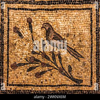 Mosaiken, Krypta der Ausgrabungen aus dem 4. Jahrhundert, Crypta degli Scavi, Basilika von Aquileia aus dem 11. Jahrhundert, größtes Bodenmosaik der Stockfoto