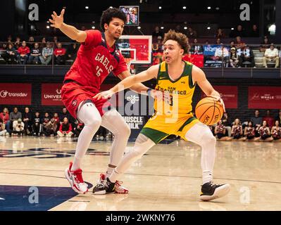 20. Februar 2024 Moraga CA, USA der US-amerikanische Garant Ryan Beasley aus San Francisco (0) geht während des NCAA Männer Basketballspiels zwischen San Francisco Dons und den Saint Mary's Gaels zum Basketball. Saint Mary's schlug San Francisco 70-66 im University Credit Union Pavilion Moraga Calif Thurman James/CSM Stockfoto