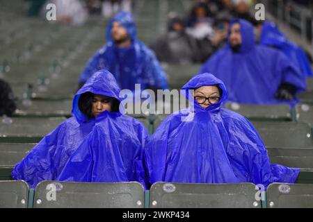 Carson, Kalifornien, USA. Februar 2024. Fans warten auf den Start der ersten Hälfte eines Gruppenspiels zwischen den Vereinigten Staaten und der Dominikanischen Republik im Dignity Health Sports Park in Carson, Kalifornien. (Kreditbild: © Brenton TSE/ZUMA Press Wire) NUR REDAKTIONELLE VERWENDUNG! Nicht für kommerzielle ZWECKE! Stockfoto