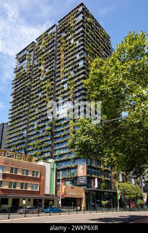 Foto von Tim Cuff - Dezember 2023 - Sydney, Australien Stockfoto