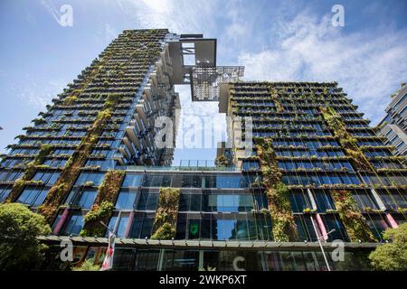 Foto von Tim Cuff - Dezember 2023 - Sydney, Australien Stockfoto