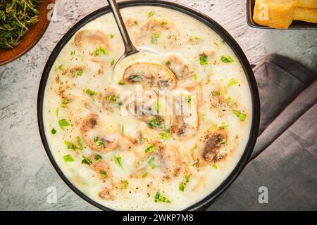 Cremige Pilzsuppe aus dem Nahen Osten. Eine warme Schüssel köstlicher cremiger Suppe mit zarten Pilzstückchen. Serviert mit knusprigen Croutons. Stockfoto