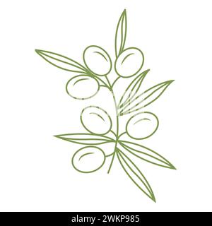 Olivenzweig. Einfaches Symbol im Doodle-Stil für Ihr Design. Vektorabbildung. Stock Vektor
