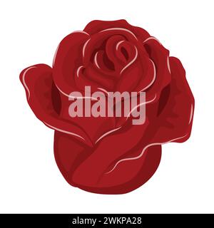 Rote Rosenblüte. Vektorillustration isoliert auf weißem Hintergrund. Stock Vektor