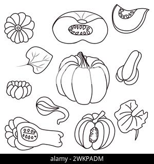 Kürbisskizze. Kürbisernte im Herbst. Einfache Symbole im Doodle-Stil. Vektorillustration isoliert auf weißem Hintergrund. Stock Vektor