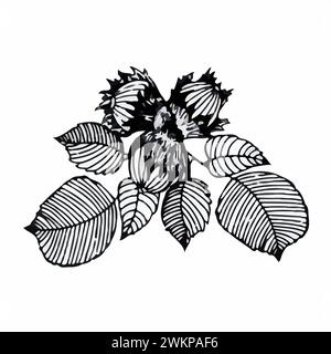 Handgezeichnete Komposition von Herbstblättern im Doodle-Stil. Vektorillustration isoliert auf weißem Hintergrund. Stock Vektor