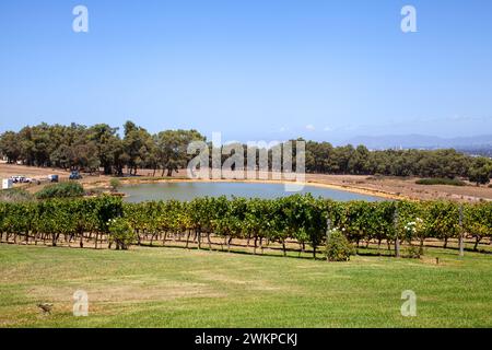 De Grendel Weingut und Restaurantgelände in Panorama, westkap - Südafrika Stockfoto