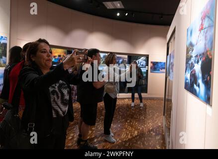 Mexiko-Stadt, Mexiko. Februar 2024. Besucher machen Fotos während einer Fotoausstellung des chinesischen Zhangjiajie in Mexiko-Stadt, Mexiko, 20. Februar 2024. Quelle: Li Mengxin/Xinhua/Alamy Live News Stockfoto