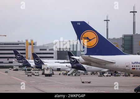 Frankfurt am Main am 21. Februar 2024, Flughafen-Airport v.l., Symbolfoto, Symbolbild: Lufthansa Flugzeuge am Gate, warten auf den Start, Logo *** Frankfurt am Main am 21. Februar 2024, Flughafen V l , Symbolbild, Symbolbild Lufthansa Flugzeuge am Gate, warten auf Start, Logo Copyright: JoaquimxFerreira Stockfoto