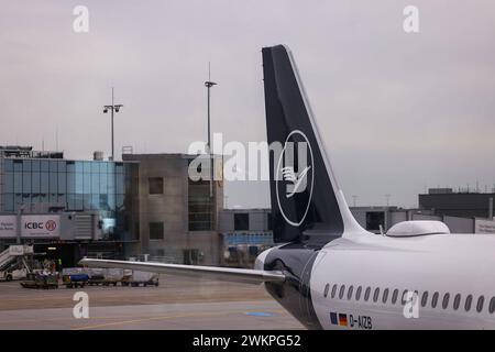 Frankfurt am Main am 21. Februar 2024, Flughafen-Airport v.l., Symbolfoto, Symbolbild: Lufthansa Flugzeug am Gate, Heck, Logo *** Frankfurt am Main am 21. Februar 2024, Flughafen V l , Symbolfoto, Symbolbild Lufthansa Flugzeug am Gate, Heck, Logo Copyright: JoaquimxFerreira Stockfoto