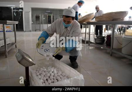 ZHANGJIAKOU, CHINA - 22. FEBRUAR 2024 - Arbeiter machen in einer traditionellen Konditorei in Zhangjiakou, nordchinesischer Provinz Hebei, fleißige Reisbällchen. Stockfoto