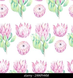 Nahtloses tropisches Muster mit rosafarbenen Protea-Blüten. Aquarellzeichnung. Ideal für Textilien, Verpackungen und Bedrucken. Stockfoto