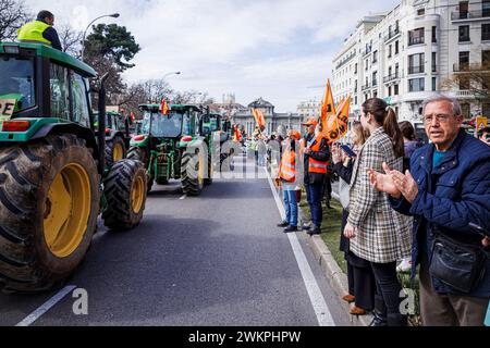 Mdrid, Madrid, Spanien. Februar 2024. Spanische Bauern blockieren während des Streiks die Straßen Madrids. (Kreditbild: © Pablo Garcia/DAX via ZUMA Press Wire) NUR REDAKTIONELLE VERWENDUNG! Nicht für kommerzielle ZWECKE! Stockfoto