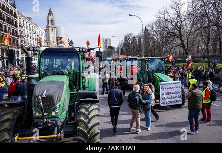 Mdrid, Madrid, Spanien. Februar 2024. Spanische Bauern blockieren während des Streiks die Straßen Madrids. (Kreditbild: © Pablo Garcia/DAX via ZUMA Press Wire) NUR REDAKTIONELLE VERWENDUNG! Nicht für kommerzielle ZWECKE! Stockfoto