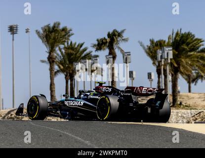 Sakhir, Bahrain. Februar 2024. BAHRAIN - Lewis Hamilton (Mercedes) am zweiten Testtag auf dem Bahrain International Circuit Sakhir vor dem Start der Formel-1-Saison. ANP REMKO DE WAAL Credit: ANP/Alamy Live News Stockfoto