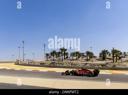 Sakhir, Bahrain. Februar 2024. BAHRAIN - Charles Leclerc (Ferrari) am zweiten Testtag auf dem Bahrain International Circuit Sakhir vor Beginn der Formel-1-Saison. ANP REMKO DE WAAL Credit: ANP/Alamy Live News Stockfoto