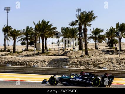 Sakhir, Bahrain. Februar 2024. BAHRAIN - Lewis Hamilton (Mercedes) am zweiten Testtag auf dem Bahrain International Circuit Sakhir vor dem Start der Formel-1-Saison. ANP REMKO DE WAAL Credit: ANP/Alamy Live News Stockfoto