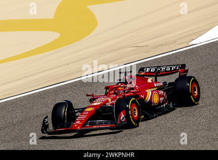 Sakhir, Bahrain. Februar 2024. BAHRAIN - Charles Leclerc (Ferrari) am zweiten Testtag auf dem Bahrain International Circuit Sakhir vor Beginn der Formel-1-Saison. ANP REMKO DE WAAL Credit: ANP/Alamy Live News Stockfoto