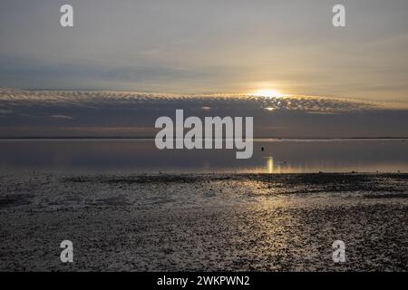 Wnter Sunset am Chalkwell Beach, in der Nähe von Southend-on-Sea, Essex, England, Großbritannien Stockfoto