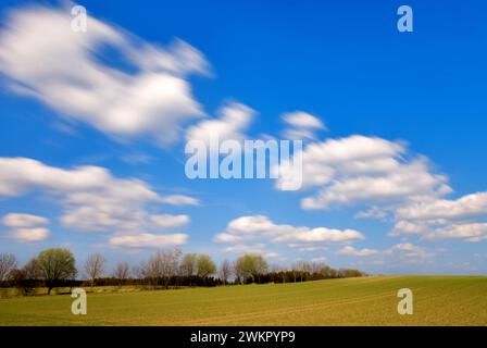Driftende Wolken, Langzeitbelichtung, Feld, Frühling, blauer Himmel, München, Bayern, Deutschland Stockfoto