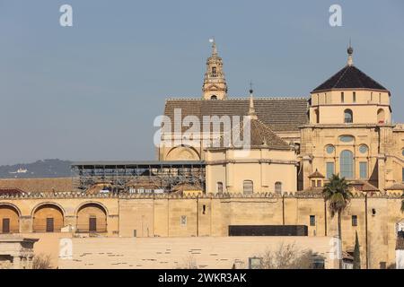 Córdoba, 01/31/2024. Die Restaurierungsarbeiten an der Maqsura der Moschee-Kathedrale beginnen. Foto: Valerio Merino. ARCHCOR. Quelle: Album / Archivo ABC / Valerio Merino Stockfoto