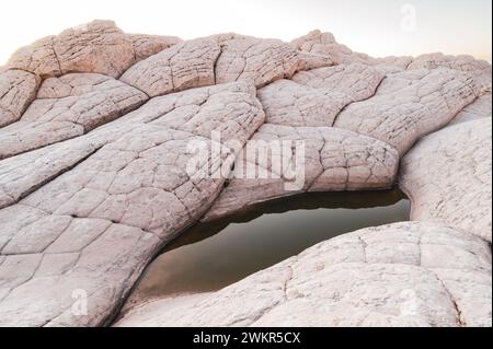 USA, ARIZONA, WHITE POCKET: Die White Pocket ist ein abgelegenes, bekanntermaßen schwer zugängliches Sandsteinstück, das sich in der Wüste des Vermillion Cliffs National Monument nahe der Grenze zu Arizona/Utah versteckt. Das gesamte Gebiet ist mit einer grauen Felsschicht bedeckt, manchmal nur wenige Zentimeter dick, über dem roten Sandstein, wo die Formationen heulen und tropfen, die die gesamte Landschaft so aussehen lässt, als wäre sie mit Puderzucker bedeckt. An manchen Stellen sind die Steinschichten völlig verdreht, wie ein riesiger Marmorkuchen. Stockfoto