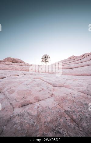 USA, ARIZONA, WHITE POCKET: Die White Pocket ist ein abgelegenes, bekanntermaßen schwer zugängliches Sandsteinstück, das sich in der Wüste des Vermillion Cliffs National Monument nahe der Grenze zu Arizona/Utah versteckt. Das gesamte Gebiet ist mit einer grauen Felsschicht bedeckt, manchmal nur wenige Zentimeter dick, über dem roten Sandstein, wo die Formationen heulen und tropfen, die die gesamte Landschaft so aussehen lässt, als wäre sie mit Puderzucker bedeckt. An manchen Stellen sind die Steinschichten völlig verdreht, wie ein riesiger Marmorkuchen. Stockfoto