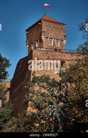 Blick auf die Krakauer Burg zwischen den Bäumen von der Dammallee Stockfoto